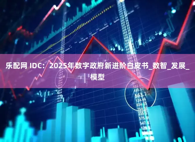 乐配网 IDC：2025年数字政府新进阶白皮书_数智_发展_模型