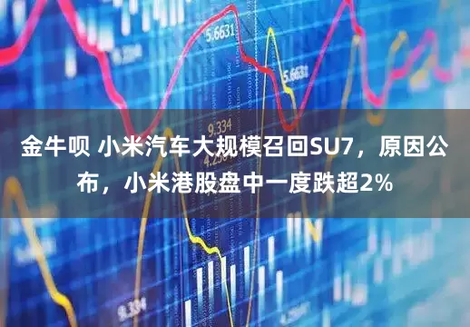 金牛呗 小米汽车大规模召回SU7，原因公布，小米港股盘中一度跌超2%